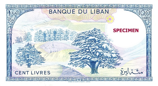 １００レバノン・ポンド紙幣に描かれたレバノンスギ